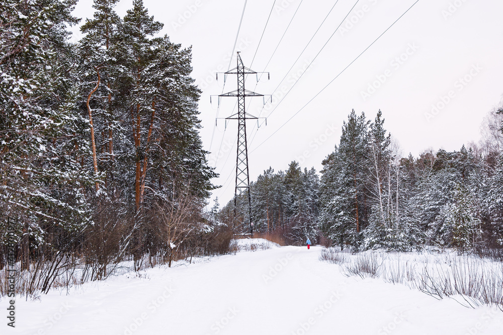 Beautiful bright winter landscape. Tall trees along the road. High voltage power line in a snowy forest. Winter season concept. Place for text. Beautiful bright winter landscape. Tall trees along the road. High voltage power line in a snowy forest. Winter season concept. Place for text.