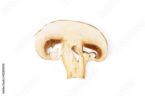 A piece of fresh mushroom isolated on a white background.