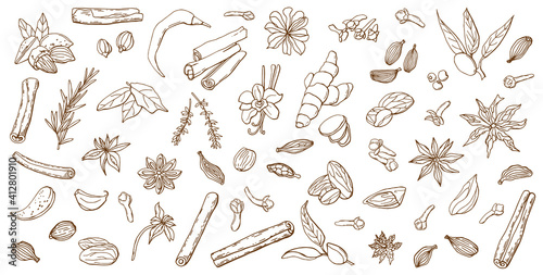Linear set of various spices. Line art. White background, isolate. Vector illustration.