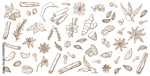 Linear set of various spices. Line art. White background  isolate. Vector illustration.