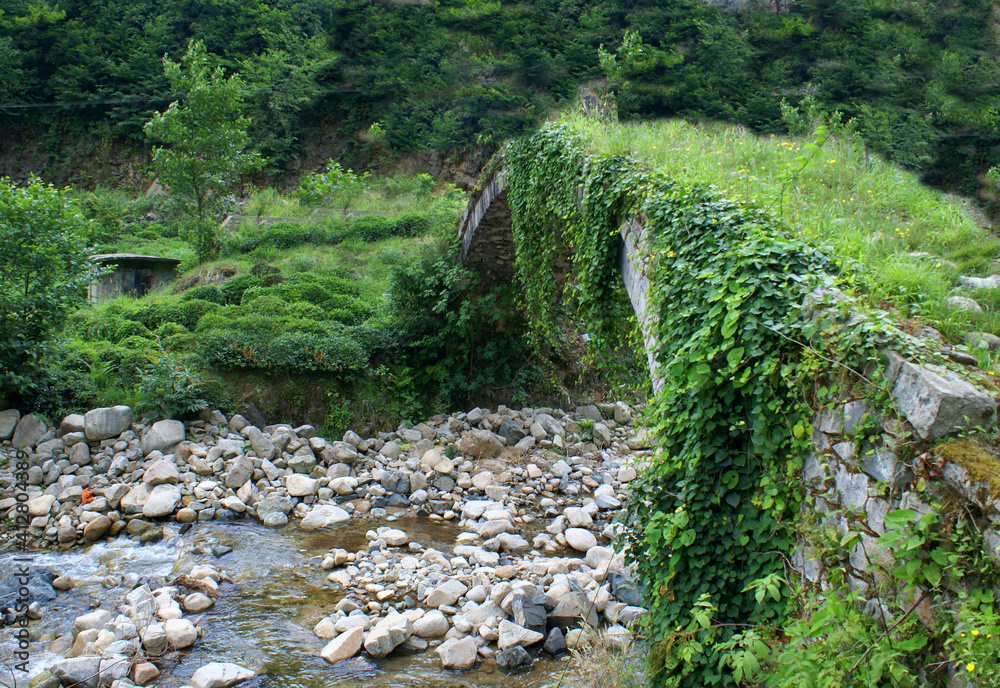 This is a beautiful panoramic shot of a scenery that captures a bridge filled with green plants near a forest over a river full of stones. This is a beautiful panoramic shot of a scenery that captures a bridge filled with green plants near a forest over a river full of stones.
