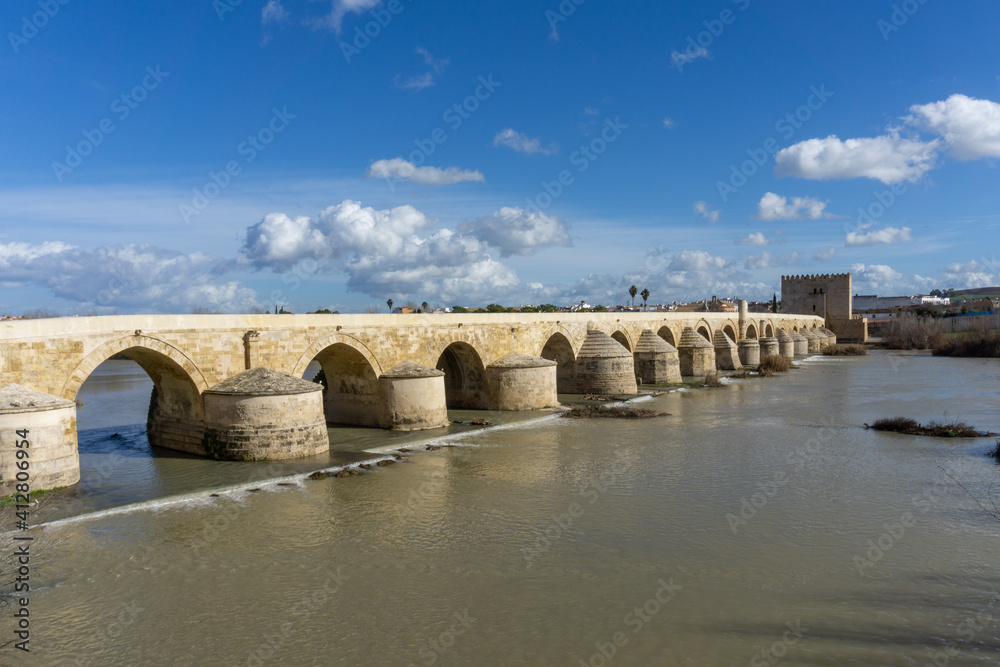 view of the Roman Bridge and Guadalquivir River in Cordoba