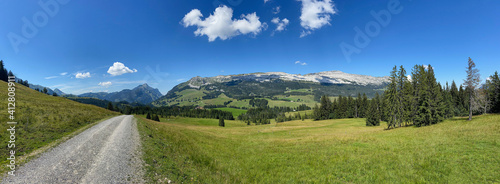 Ausblick auf Schratte mit Bergwiese im Unesco Biosphärenreservat Entlebuch