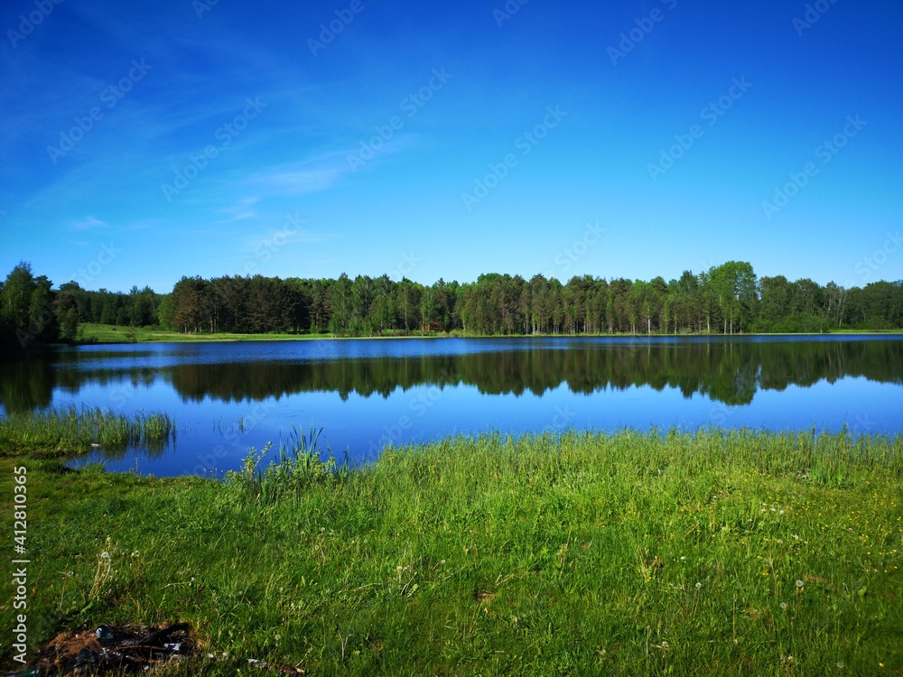 Obraz premium transparent lake with reflection of forest in summer water
