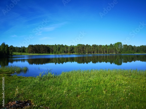 transparent lake with reflection of forest in summer water