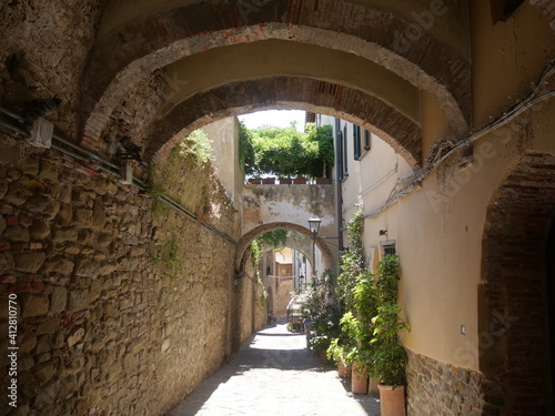Typical medieval street of Castiglione della Pescaia, squeezed between the walkway of the walls and the houses covered with vegetation and topped with stone arches. © filippoph