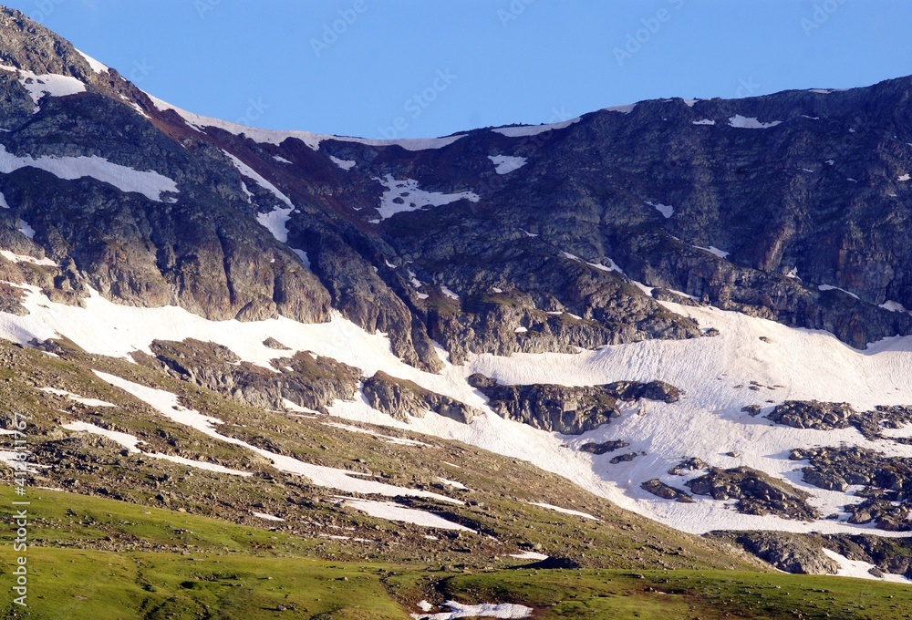 A panoramic, detailed shot of a mountain covered up with snows near a path filled with green grass under the blue sky.