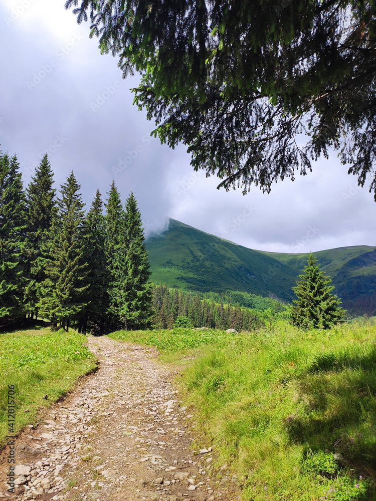 path to the mountain path to the mountain