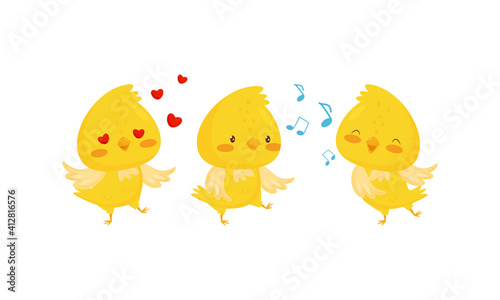 Yellow Chick Feeling Enamored and Singing Vector Set