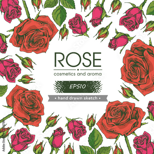 Background filled with Roses and with empty circle inside. Detailed hand-drawn sketches, vector