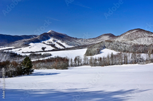Beautiful winter landscape in mountains with snow covered trees