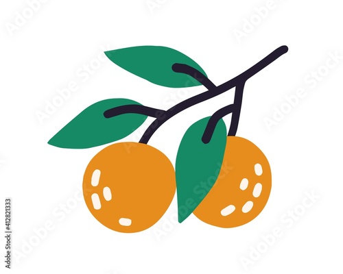 Tree branch with leaves and ripe orange fruits of peaches or mandarines. Colored flat vector illustration isolated on white background