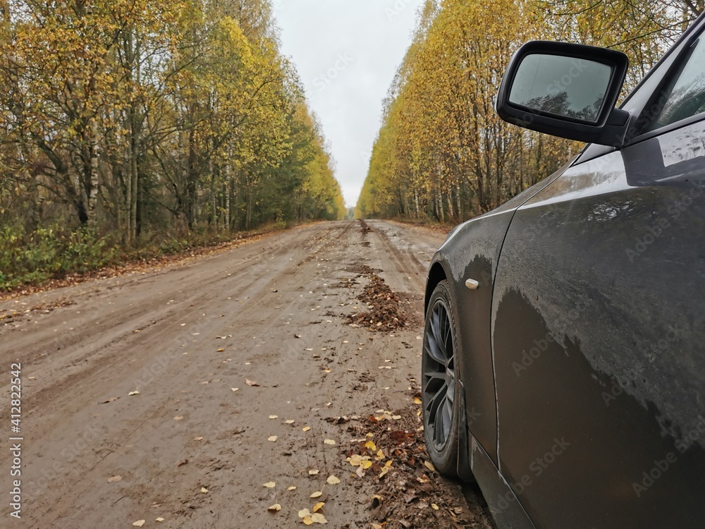 The car on the forest road