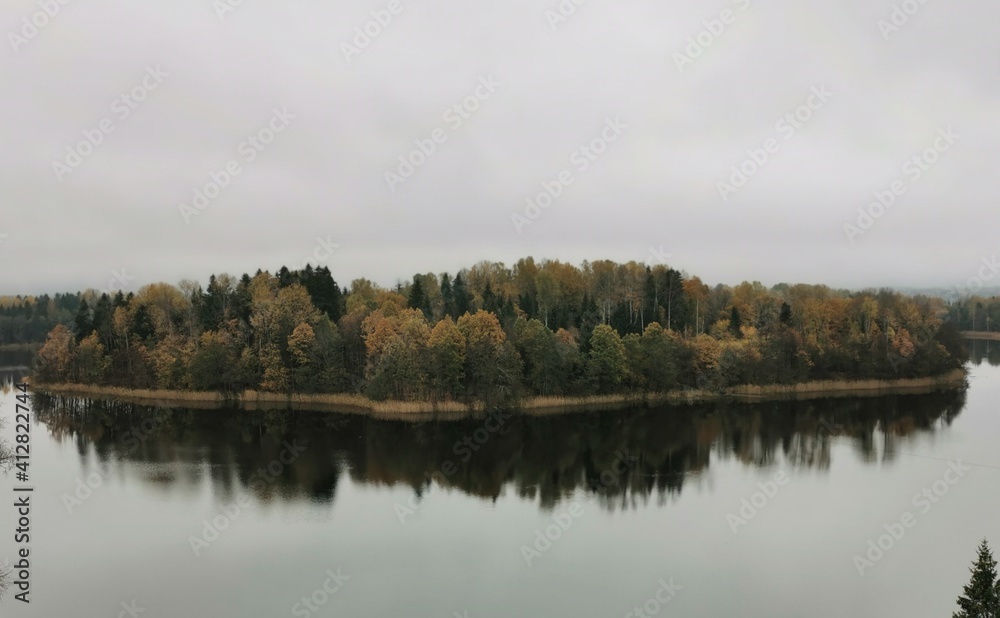 The autumn forest panoramic view