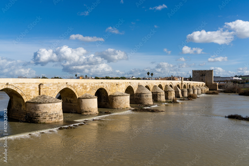 view of the Roman Bridge and Guadalquivir River in Cordoba
