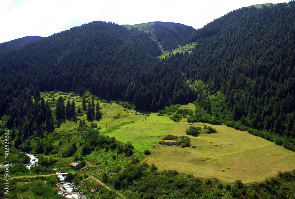 A hill view from Turkey's north. Hill has mountains covered by pine forests and a river that floods near it. Views like that are very common in Turkey's north, Black Sea region.