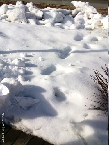 Footprints in the snow