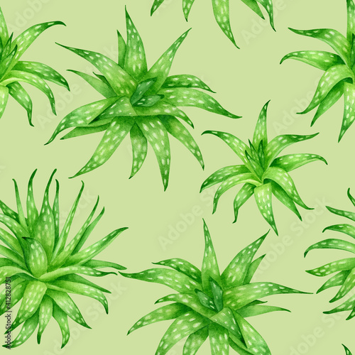 Watercolor aloe vera seamless pattern. Lush evergreen succulent plants painting on light green background. Botanical design for cosmetics, package, decoration, herbal medicine, skin care