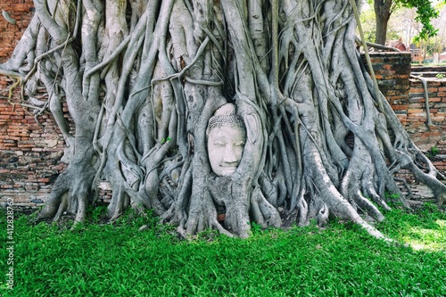 Ancient Head of Buddha Image inside Tree Root at Wat Mahathat Temple where is Famous Historical Landmark in Ayutthaya Province, Thailand.