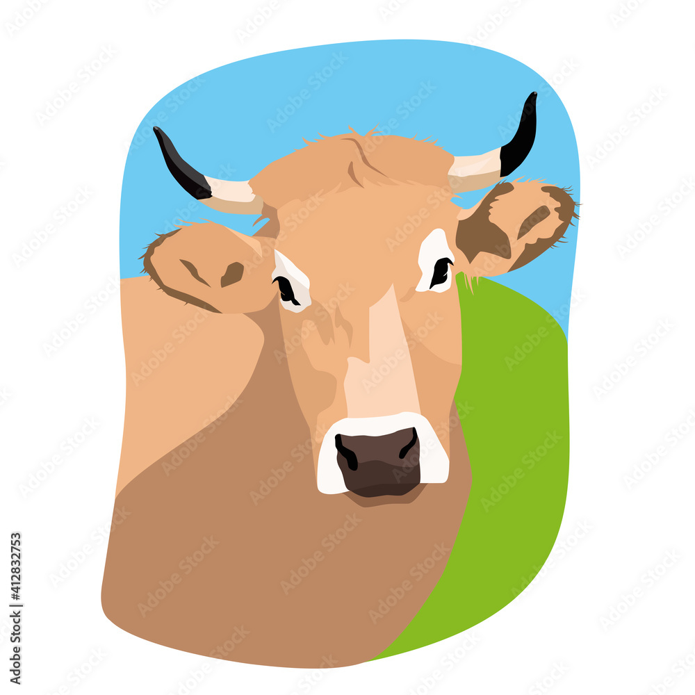 Vache Aubrac - gros plan