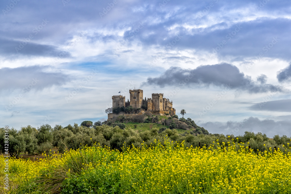 view of the castle in Almodovar del Rio with yellow flowers in the foreground