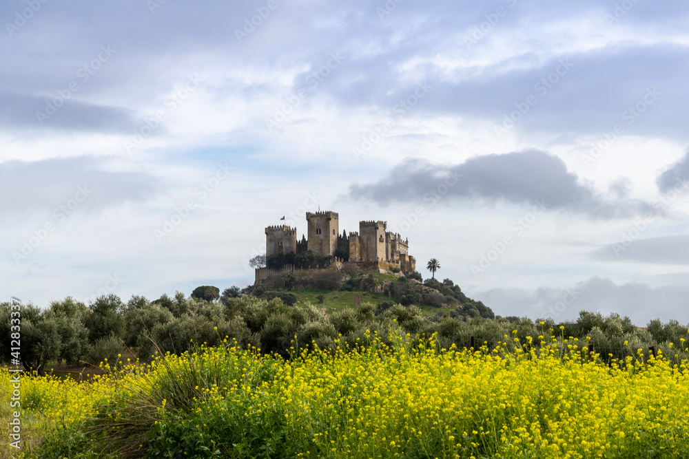 view of the castle in Almodovar del Rio with yellow flowers in the foreground