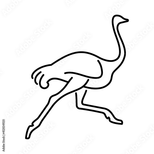Ostrich vector icon. Wild bird  illustration. Emu outline symbol.