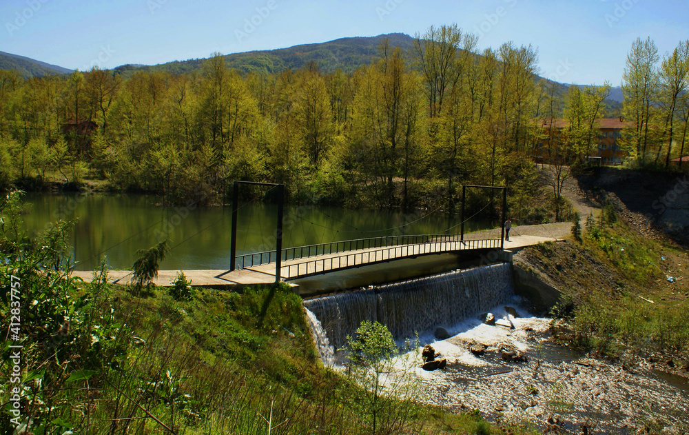 A beautiful scenery that captures light colored pine trees near a lake which has a bridge over it under the blue sky.