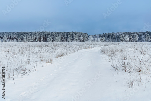 scinic view at winter road in a field covered with snow in a cloudy day, leadind to a frost forest on the background