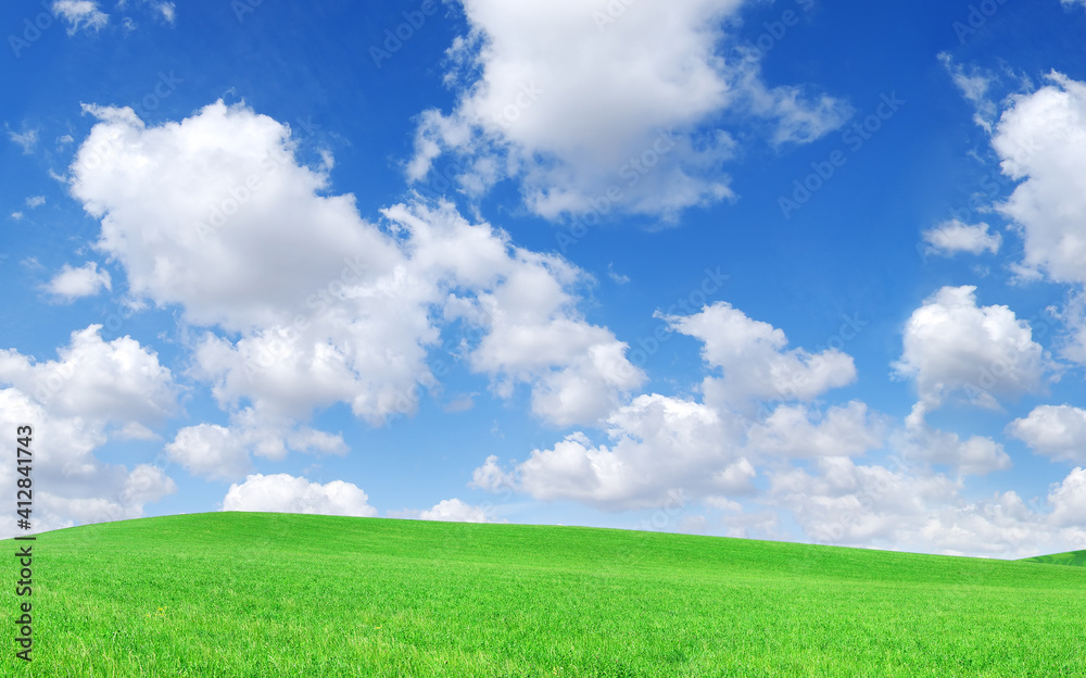 Idyllic view, green field and the blue sky with white clouds