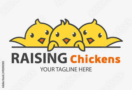 Logo template with cute curious little yellow chickens. Vector logo design template for raising chickens on a poultry farm.