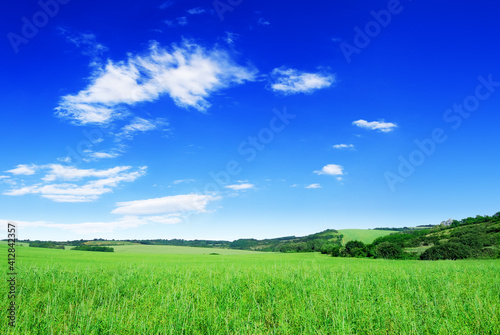 Idyll  view of green fields and blue sky with white clouds