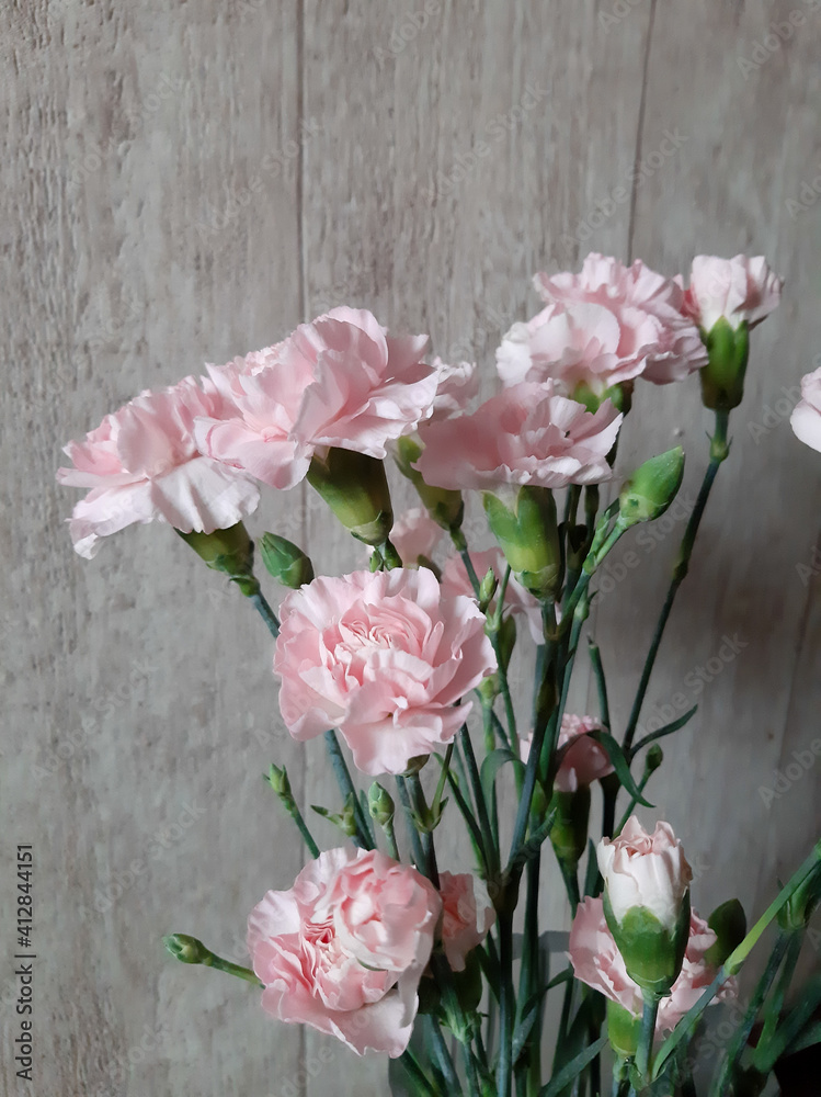 A bouquet of delicate carnations in a vase