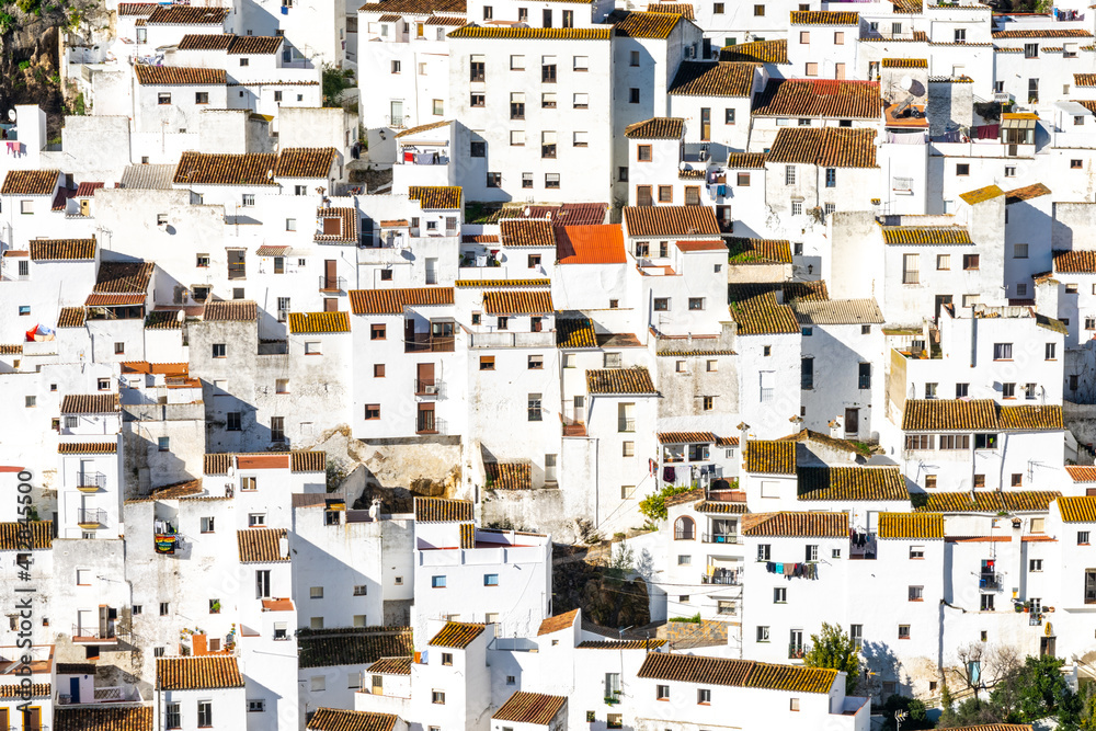 detail view of the whitewashed houses in the village of Casares in Andalusia