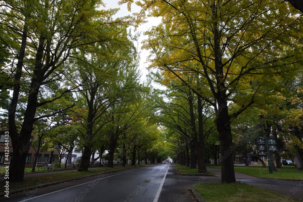 Sapporo, Japan - 16 Oct 2020: Hokkaido university Sapporo, Japan - 16 Oct 2020: Hokkaido university