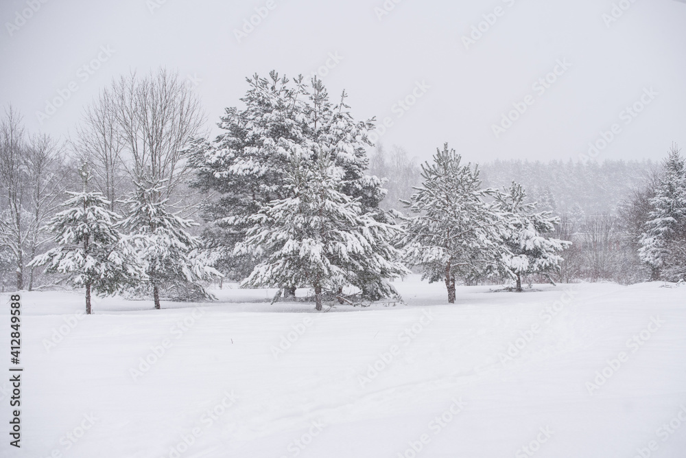 Winter landscape with snowy trees and snowflakes.