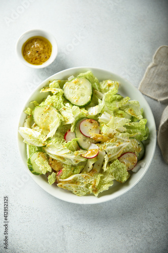 Healthy green salad with radish and cucumber