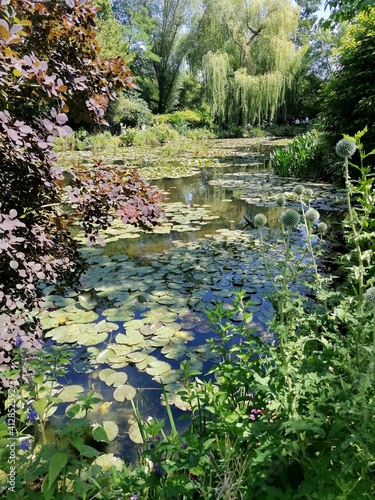View on a Claude Monet's water garden at Giverny, France