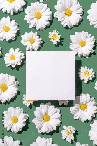 White daisy flowers on green background with white paper card note. Bright light, copy space. © Popovo
