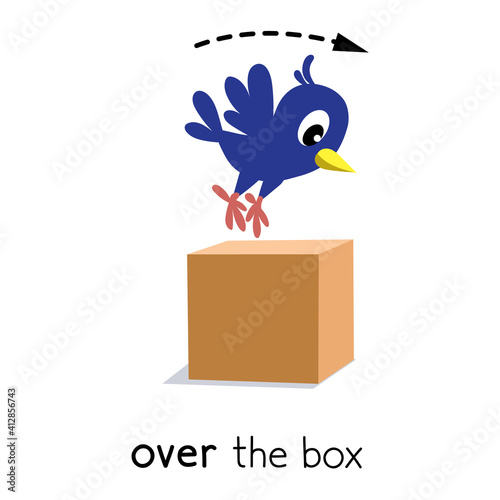 Preposition of movement. Bird jumps over the box