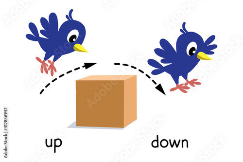 Preposition of movement. Bird jumps up and down