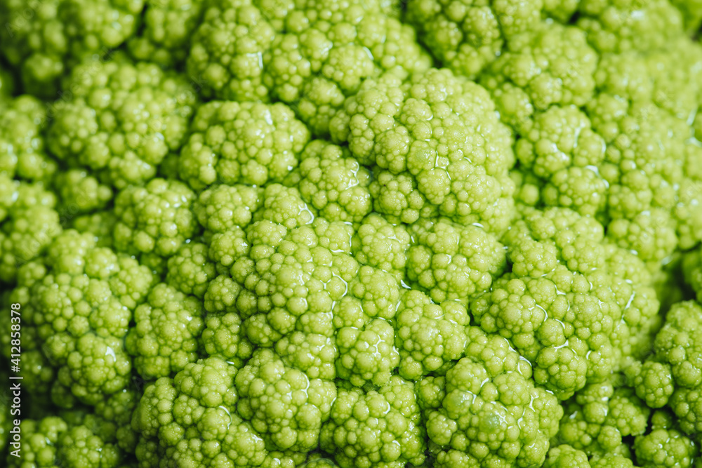 Raw fresh green cauliflower from Puglia Raw fresh green cauliflower from Puglia