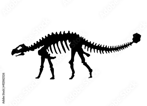  silhouette of dinosaurs skeleton. Hand drawn dino skeleton. Dinosaur bones  exhibit fossils in the museum