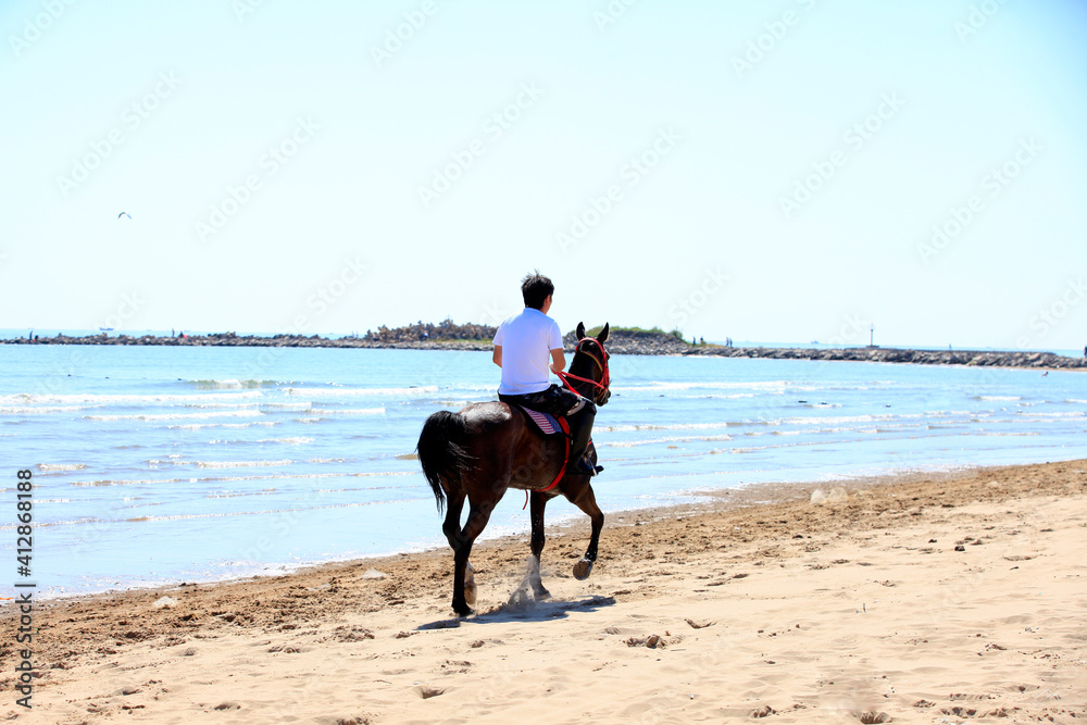 Race horse and jockey galloping on the beach Race horse and jockey galloping on the beach