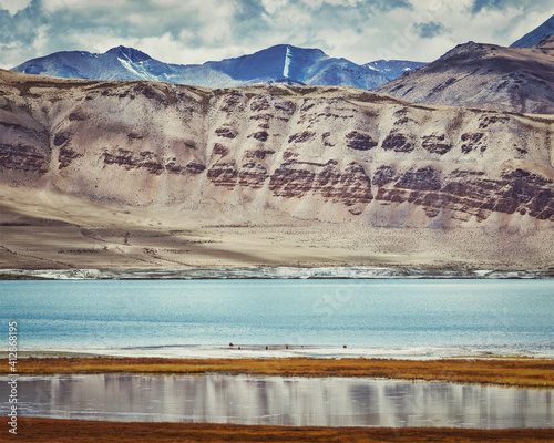 Salt lake Tso Kar in Himalayas. Ladakh, India