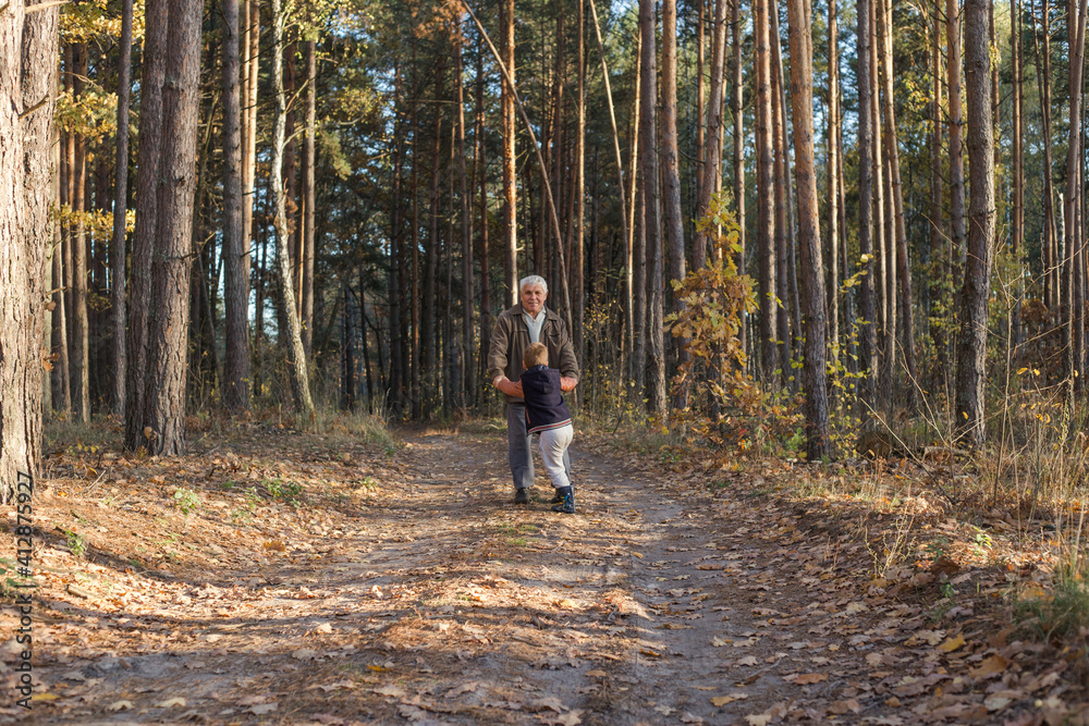 Fototapeta premium Happy child with Grandfather playing at the forest. Grandpa retiree. Retirement parent. Portrait of pensive senior man and his grandson. Senior man having fun with his grandchild outdoor.