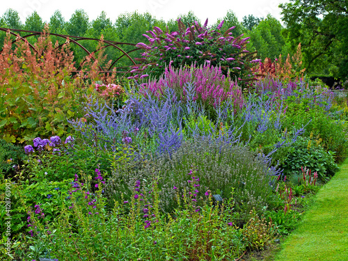 Fototapete Colourful summer border at a French Country House garden with Perovskia atriplic