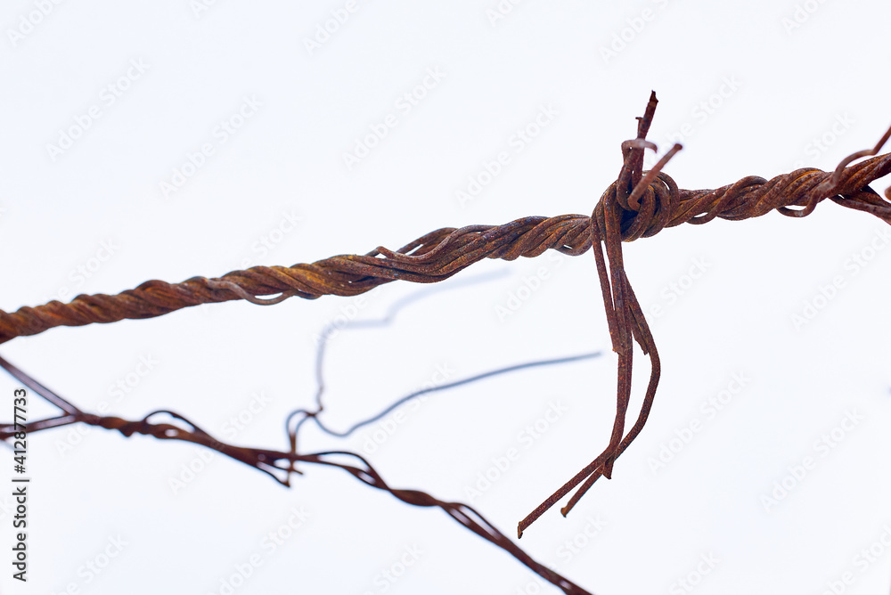 a knot of rusty wire. detail on a white background. close-up, macro