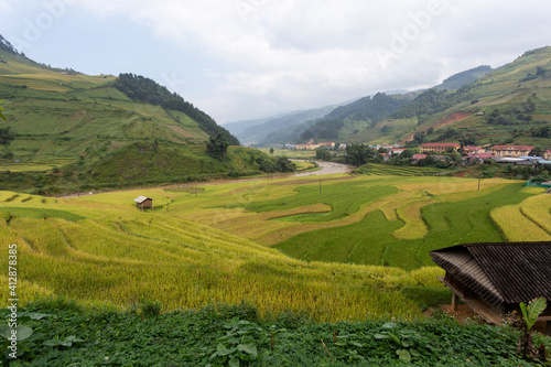 Terraced rice paddy field landscape of Mu Cang Chai, Yenbai, Northern Vietnam