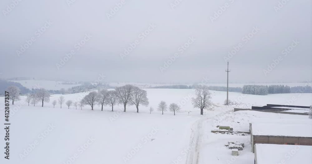 Viele Vögel im tiefsten Winter auf einem verschneiten Baum 